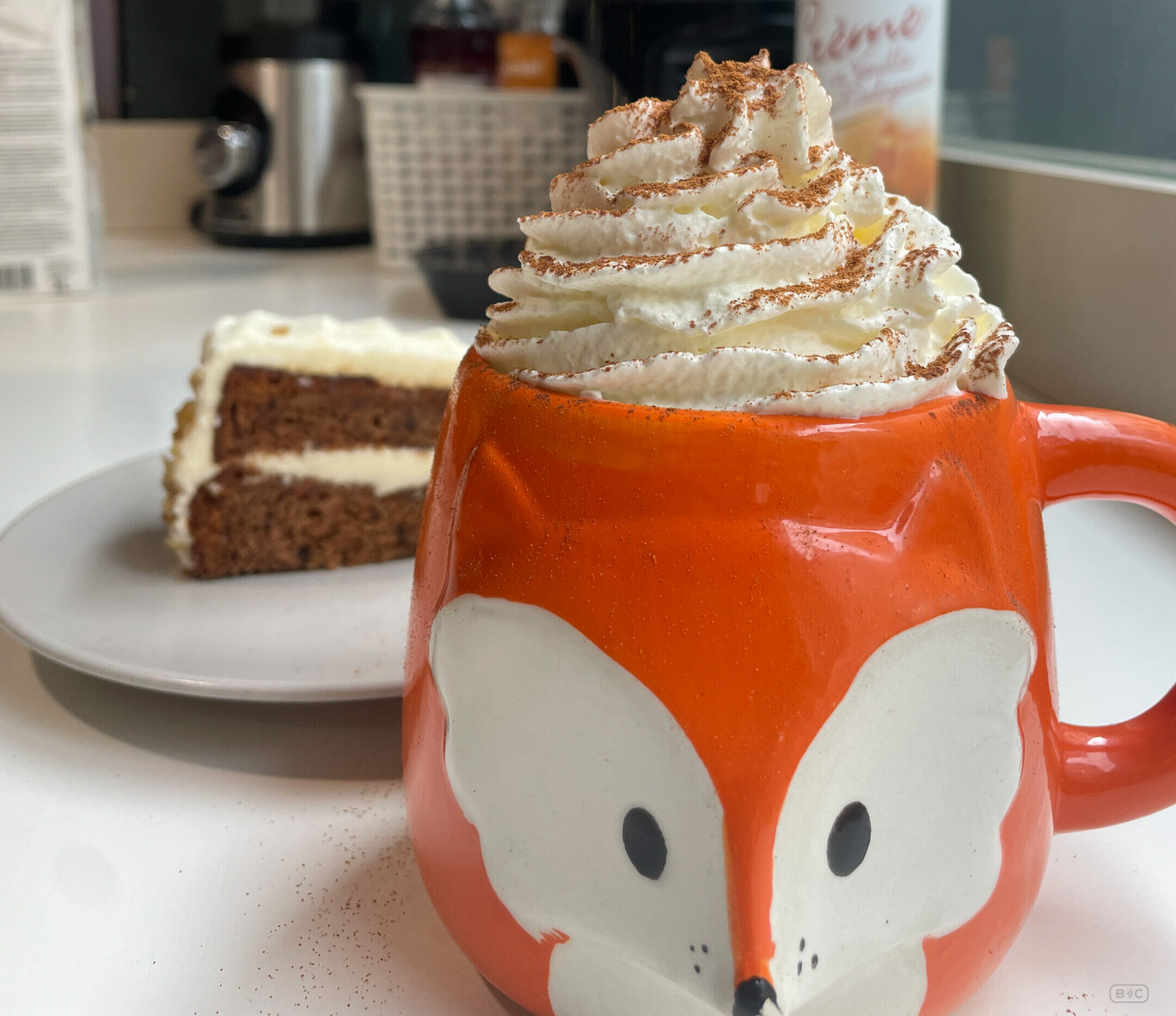 COSYPLO-RESEAUX SOCIAUX-45